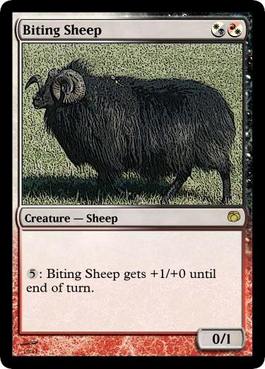 Biting Sheep